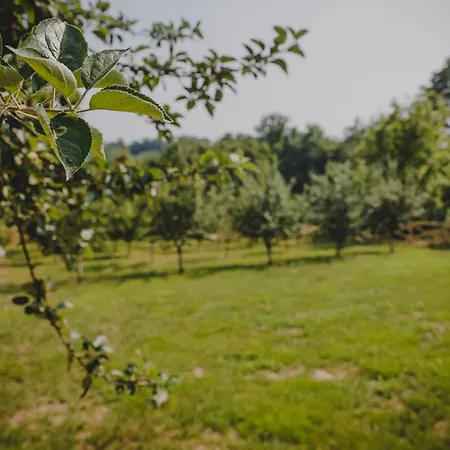 Stara Kuca I Brvnara Dom wakacyjny Velerec